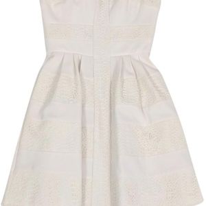 BCBG Cream Lace Panel Dress